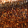feather bed (detail)