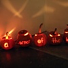 pumpkins