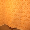 The Yellow Wallpaper