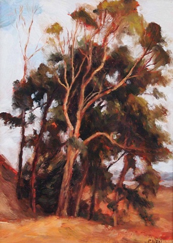California Cedars
Peter Neal