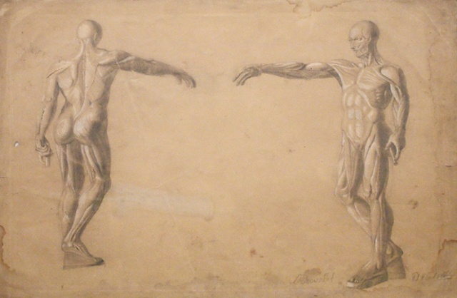 Anatomical Drawing
Signed "Debruvoillet,11 Aout (August), 1844"
