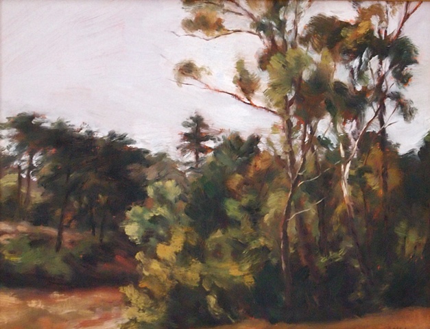 Golden Gate Park
Peter Neal