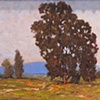 Dennis Westerling, USA

"Yolo County"
