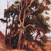 California Cedars
Peter Neal