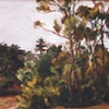 Golden Gate Park
Peter Neal