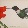 Hummingbird (The Whizzer)
Richard Mueller