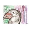 strange bird 