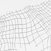 DETAIL - Netted 2