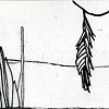 Untitled (Baited)