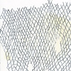Untitled (Net Study 1)
