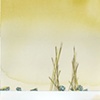 Untitled (Cedes 2)