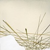 Untitled (Yields 3)