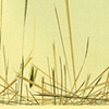 DETAIL - Untitled (Heaped 1)