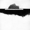 Untitled (Decoy 2)