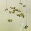 Unititled (Pelted 1)