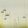 Untitled (Pelted 2)