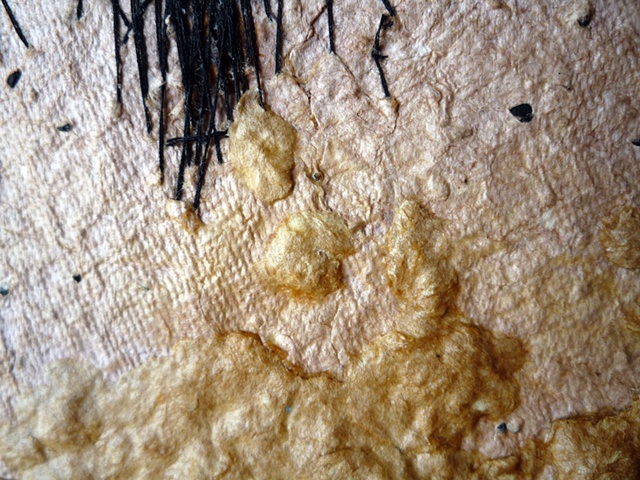 4 (detail 1)