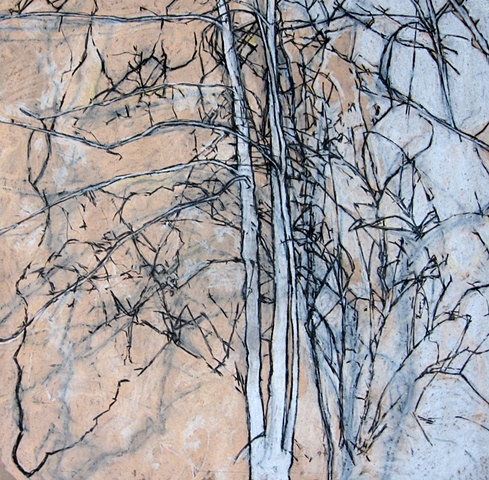 Chautauqua Tree 2009