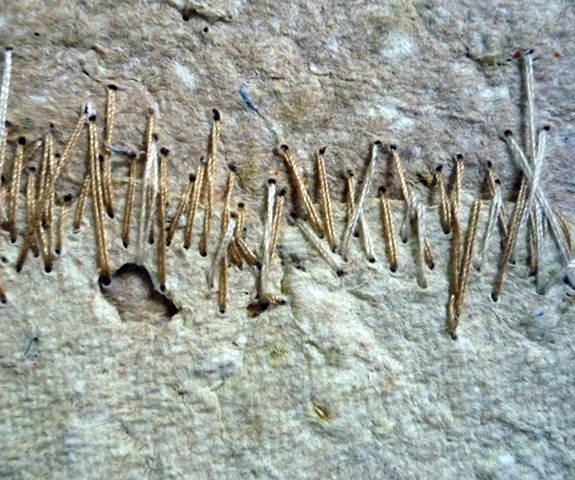 2 (Detail 1)