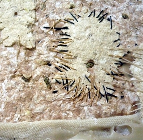 Detail 1