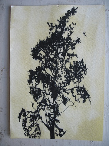 Lisboa Tree Drawing 7