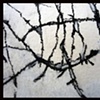 Detail 5