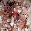 Connective Tissue (Detail 3)