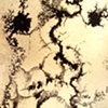 Detail 11
