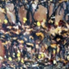 Happiness is the Persuit of Repetition/ Neuron Field (Detail 5)