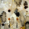 Antinuclear Antibodies (Detail 3)