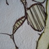 Lisboa Tree Drawing Detail 1