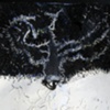 still 8