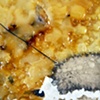 Detail 15