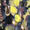 Happiness is the Persuit of Repetition/ Neuron Field (Detail 9)