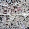 Autoimmune/ Wool Detail