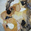 Colloid, Detail 7
