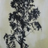 Lisboa Tree Drawing 7