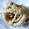 Growth (1) View 1