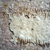 2 (Detail 2)
