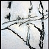 Detail 6