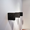 Autoimmune (Installed at the Fowler Kellog Art Center)