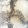 Detail 14