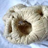 Growth (1) View 4