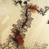 Detail 7