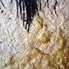 4 (detail 1)