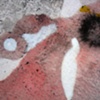 Connective Tissue (Detail 8)