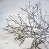 Detail 3
