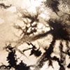 Detail 5
