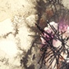 Detail 9