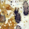 Detail 13